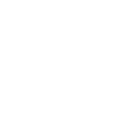 Twinlite